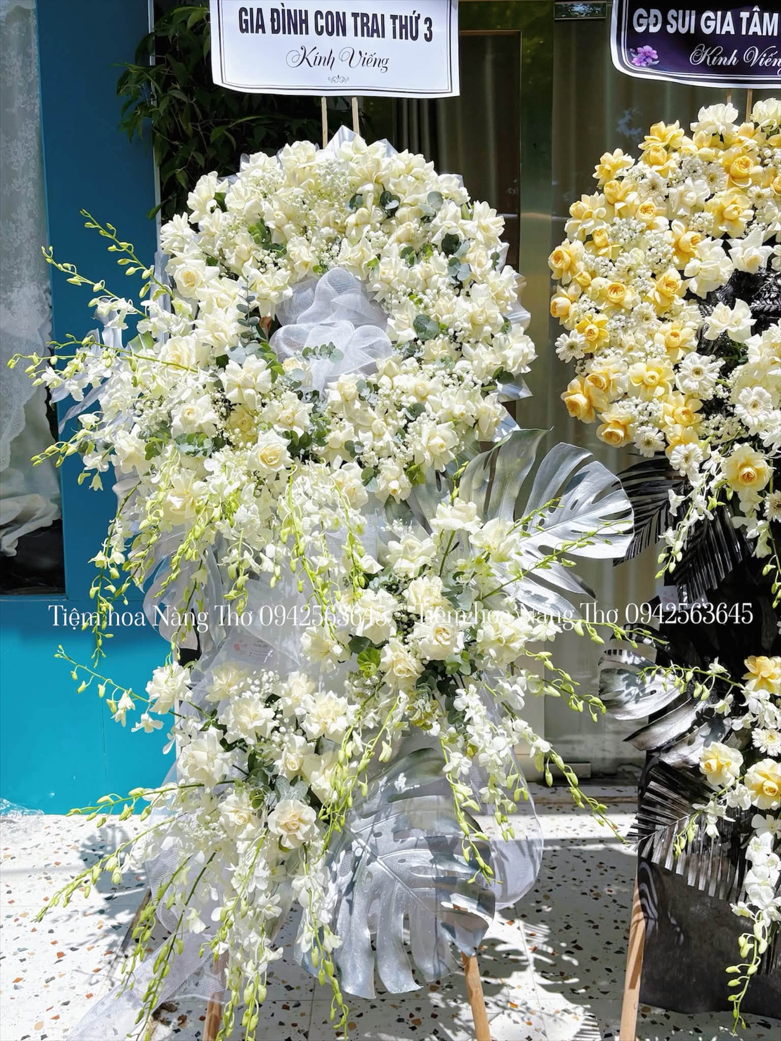 Sản phẩm dathoatuoivn.com 22
