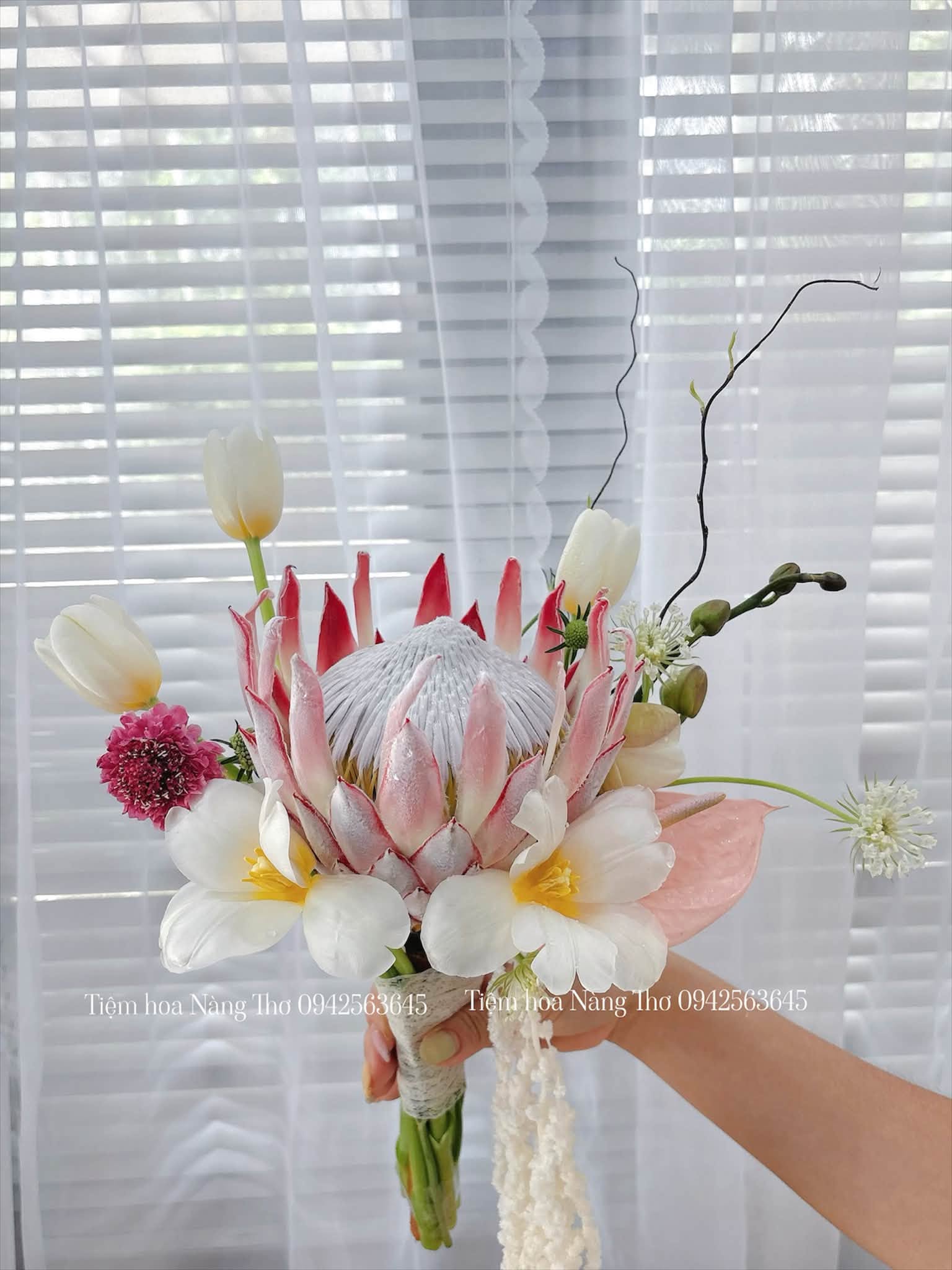 Sản phẩm dathoatuoivn.com 102