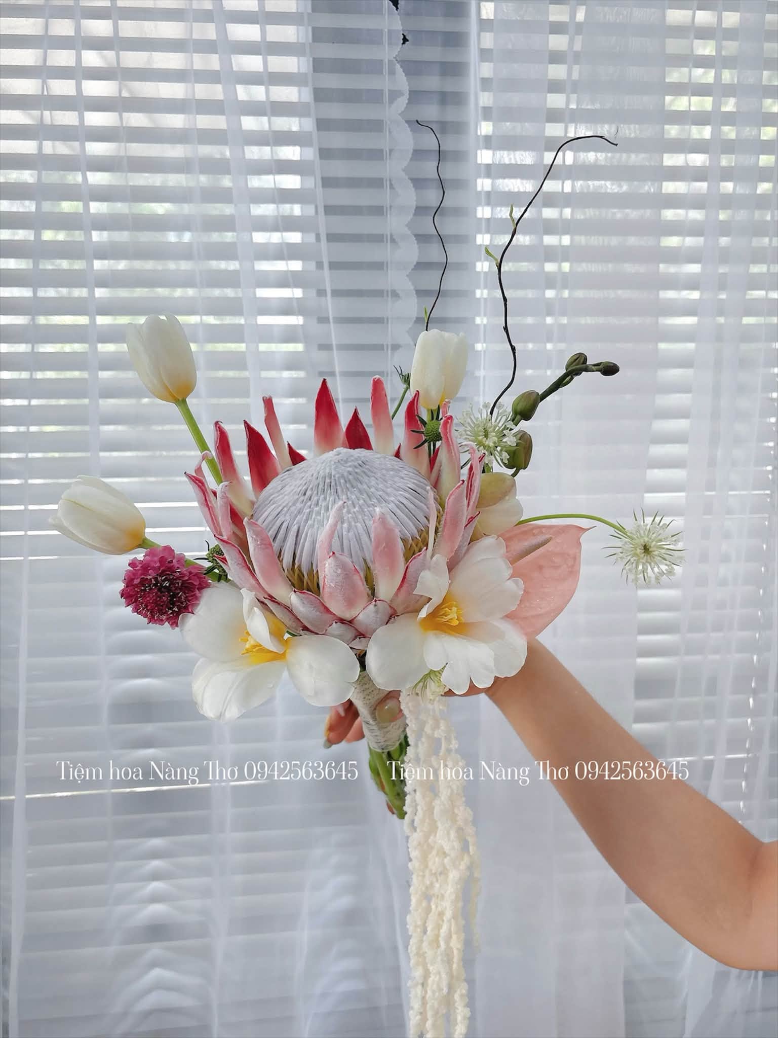 Sản phẩm dathoatuoivn.com 104