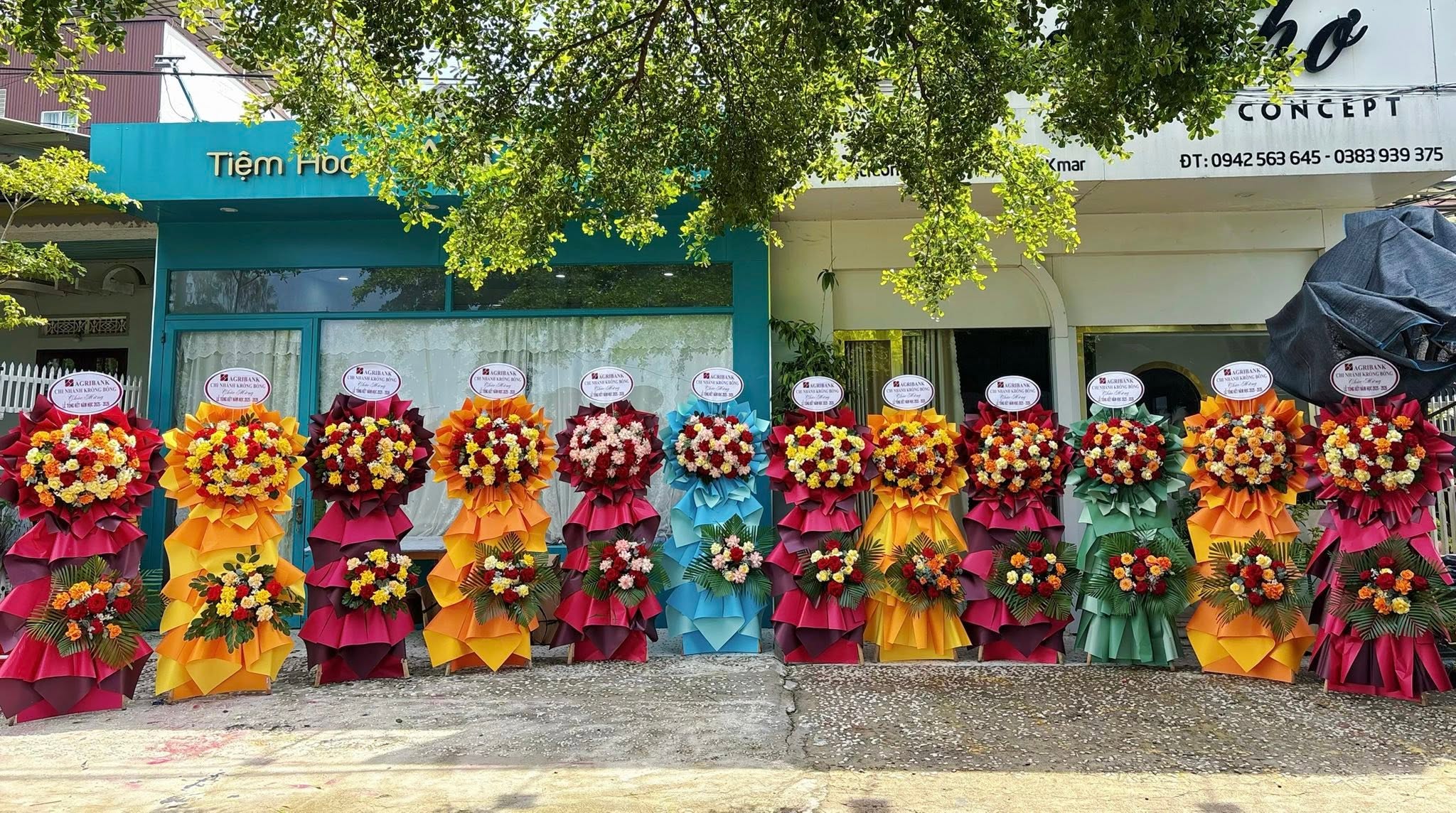 Sản phẩm dathoatuoivn.com 186