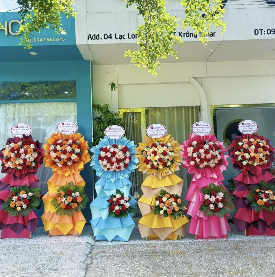 Sản phẩm dathoatuoivn.com 187