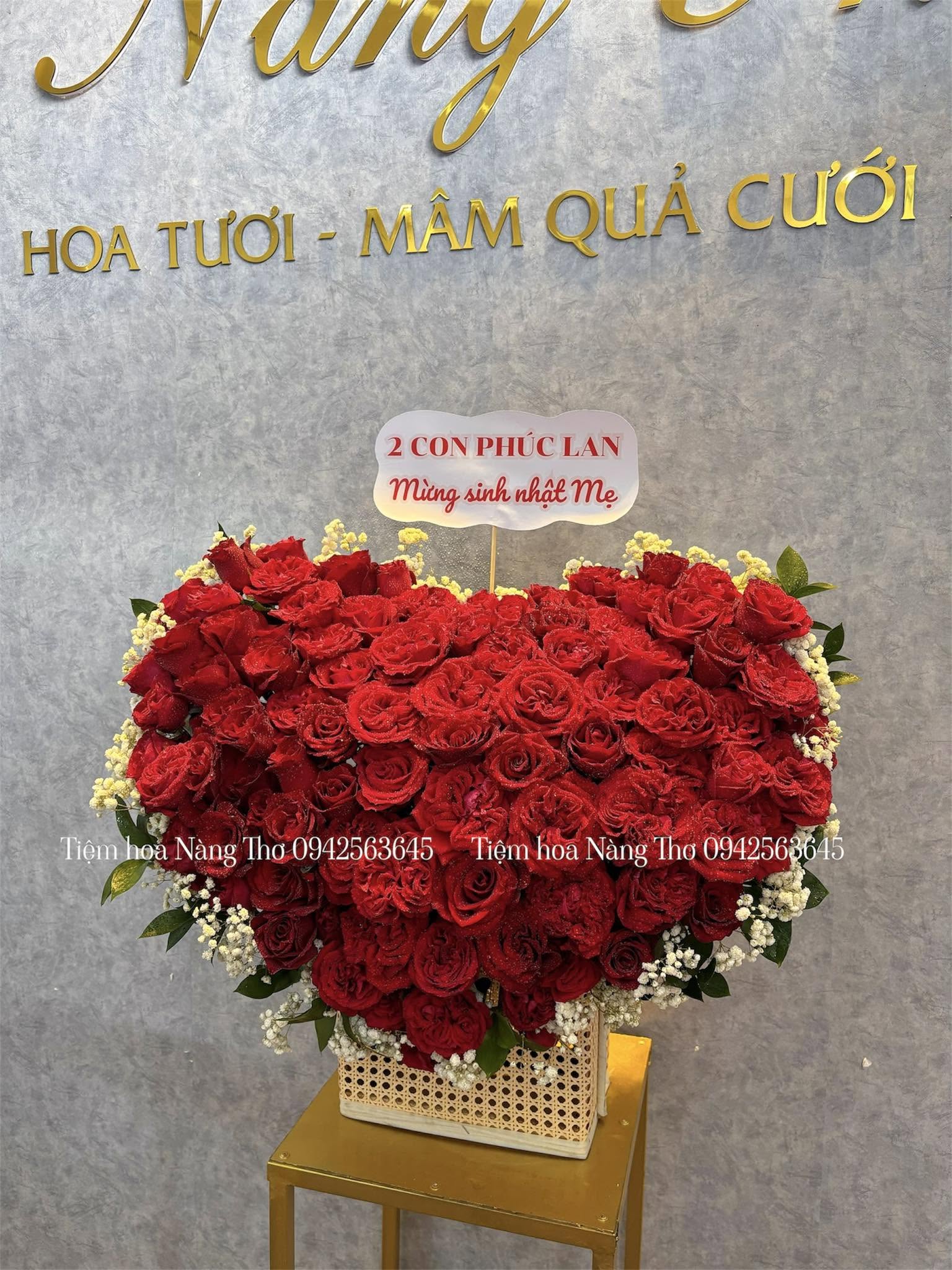 Sản phẩm dathoatuoivn.com 250