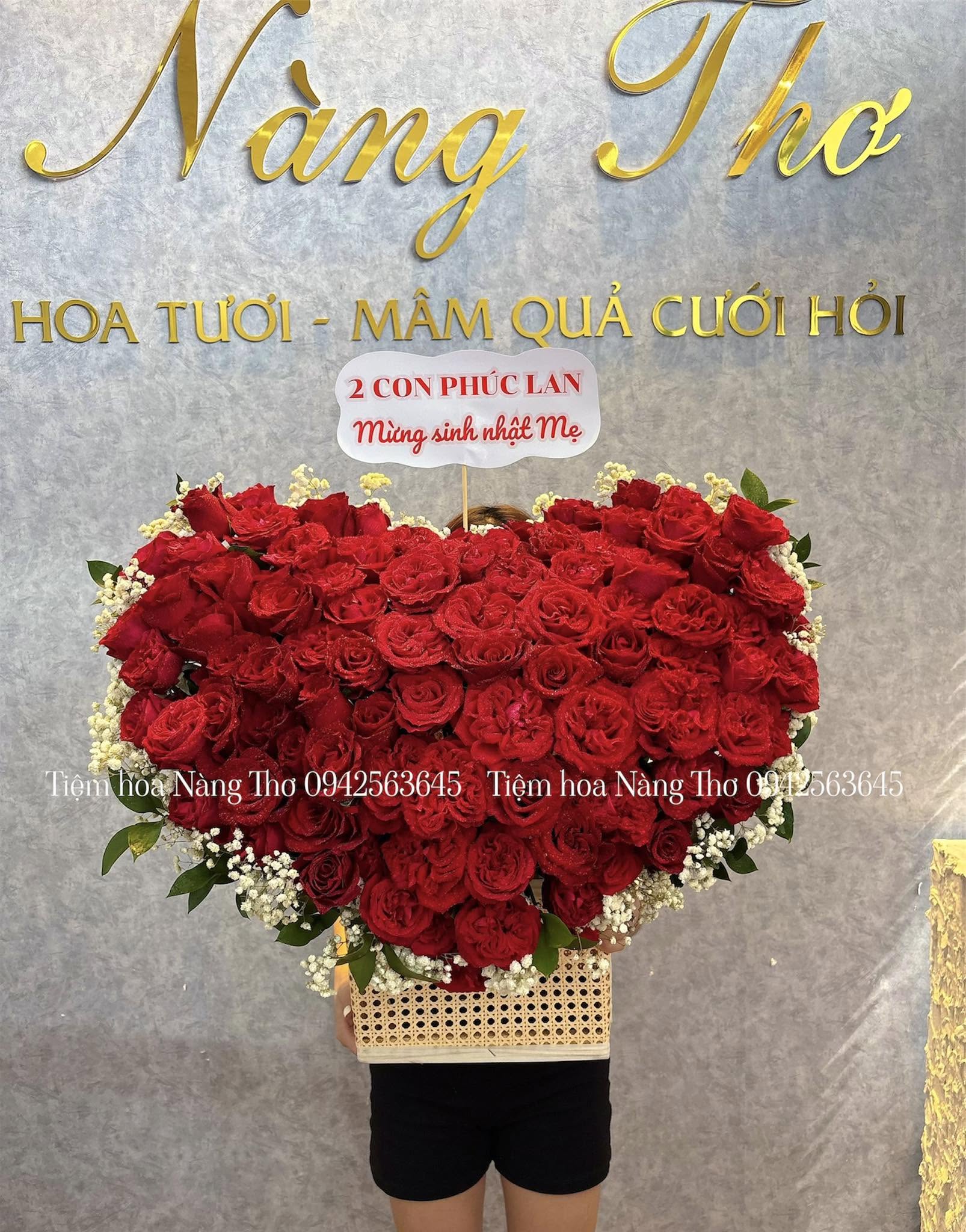 Sản phẩm dathoatuoivn.com 251