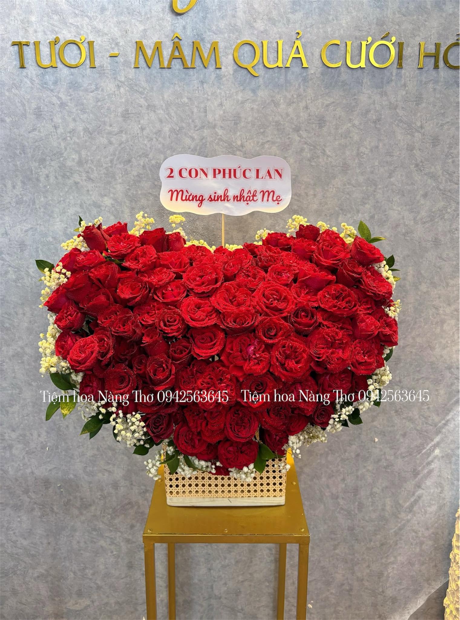 Sản phẩm dathoatuoivn.com 253