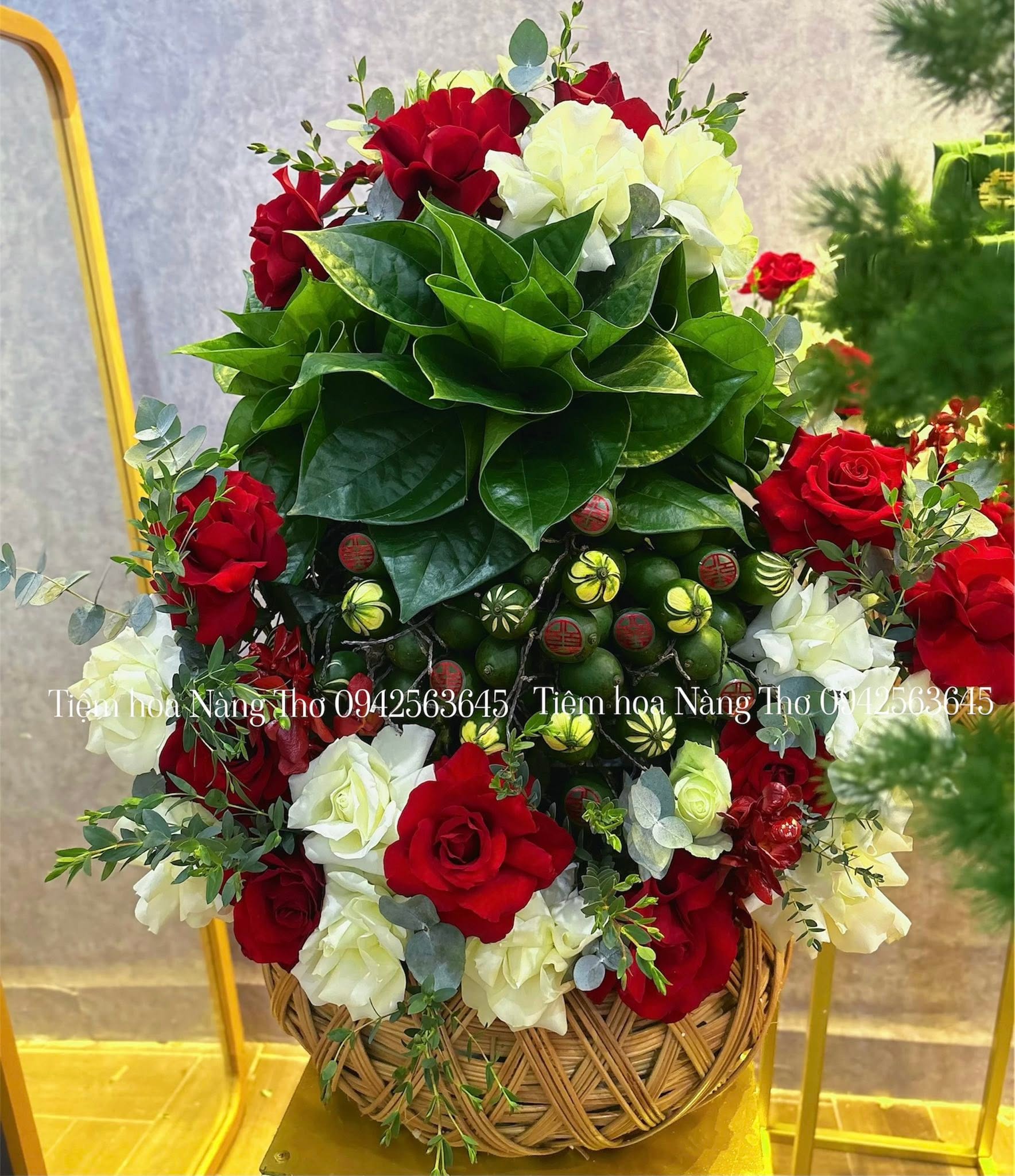 Sản phẩm dathoatuoivn.com 282