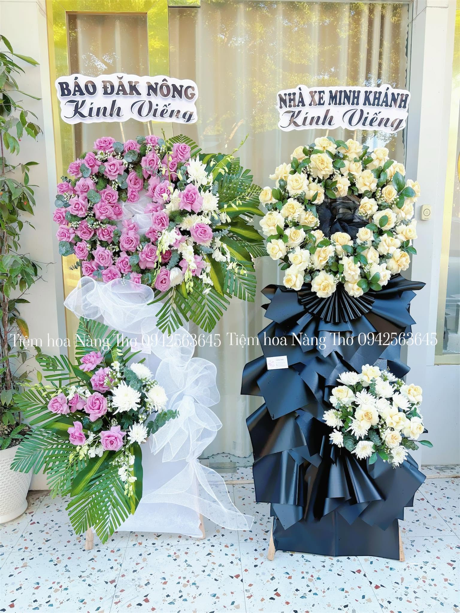 Sản phẩm dathoatuoivn.com 565