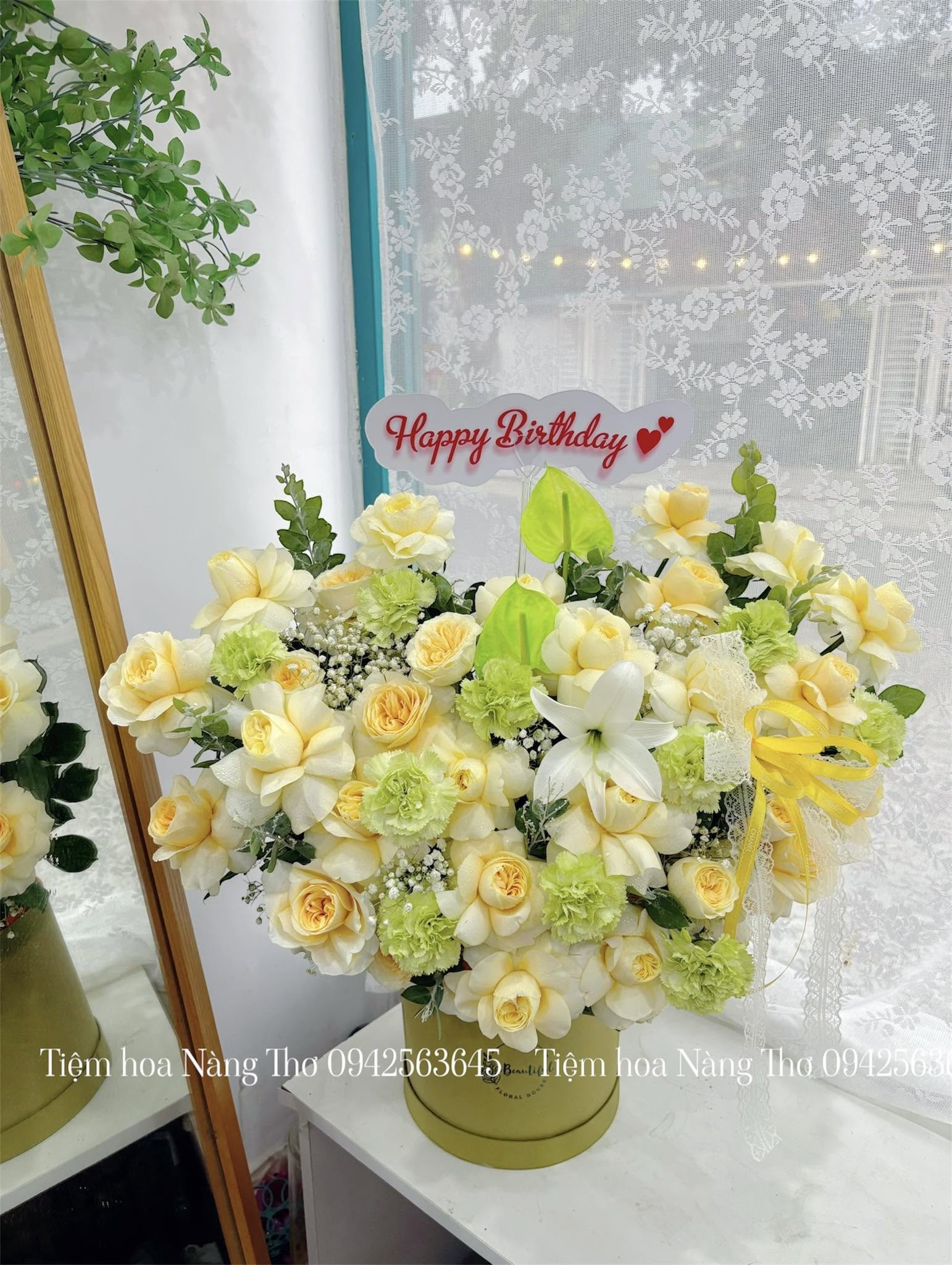 Sản phẩm dathoatuoivn.com 611