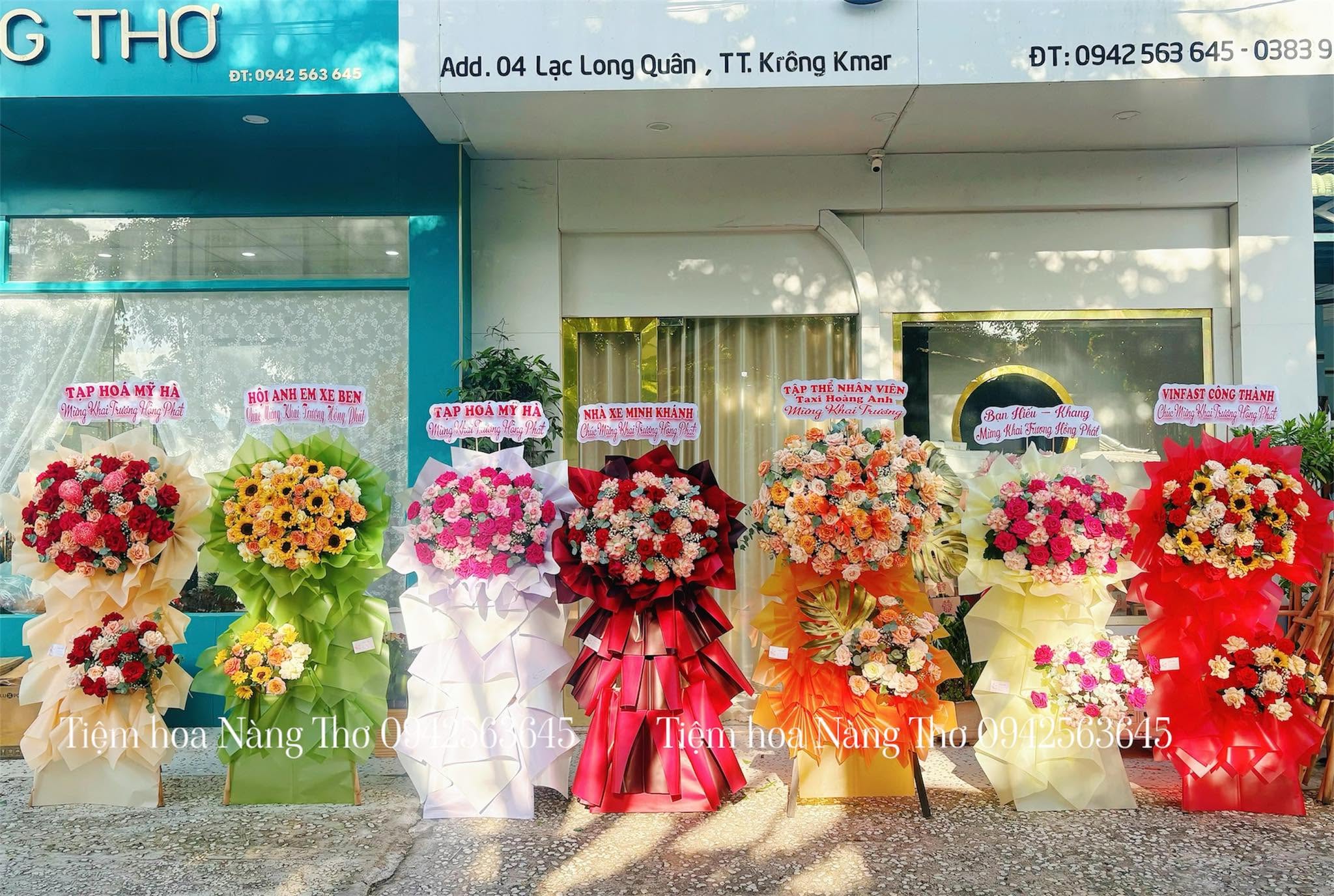 Sản phẩm dathoatuoivn.com 659