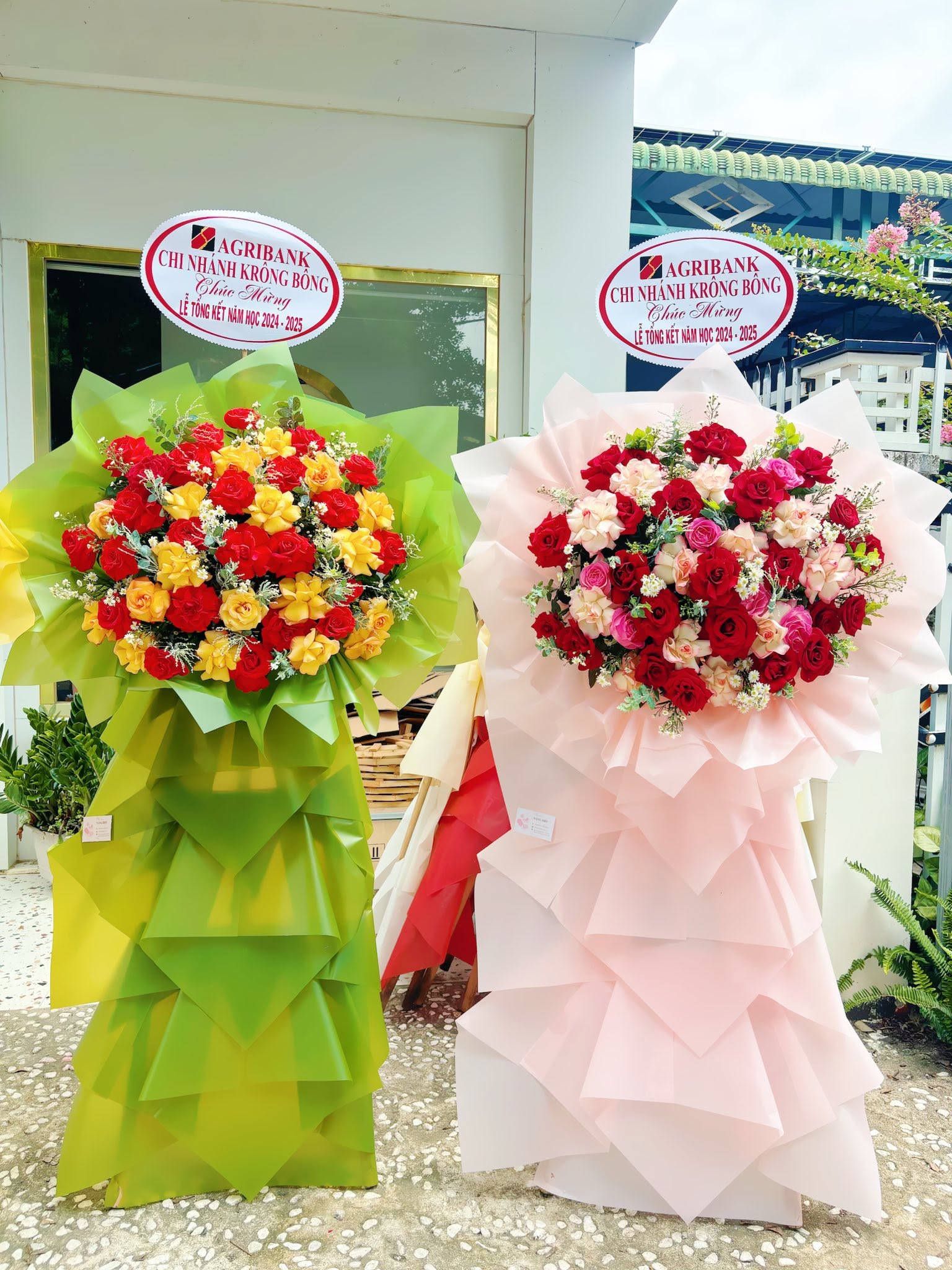 Sản phẩm dathoatuoivn.com 716