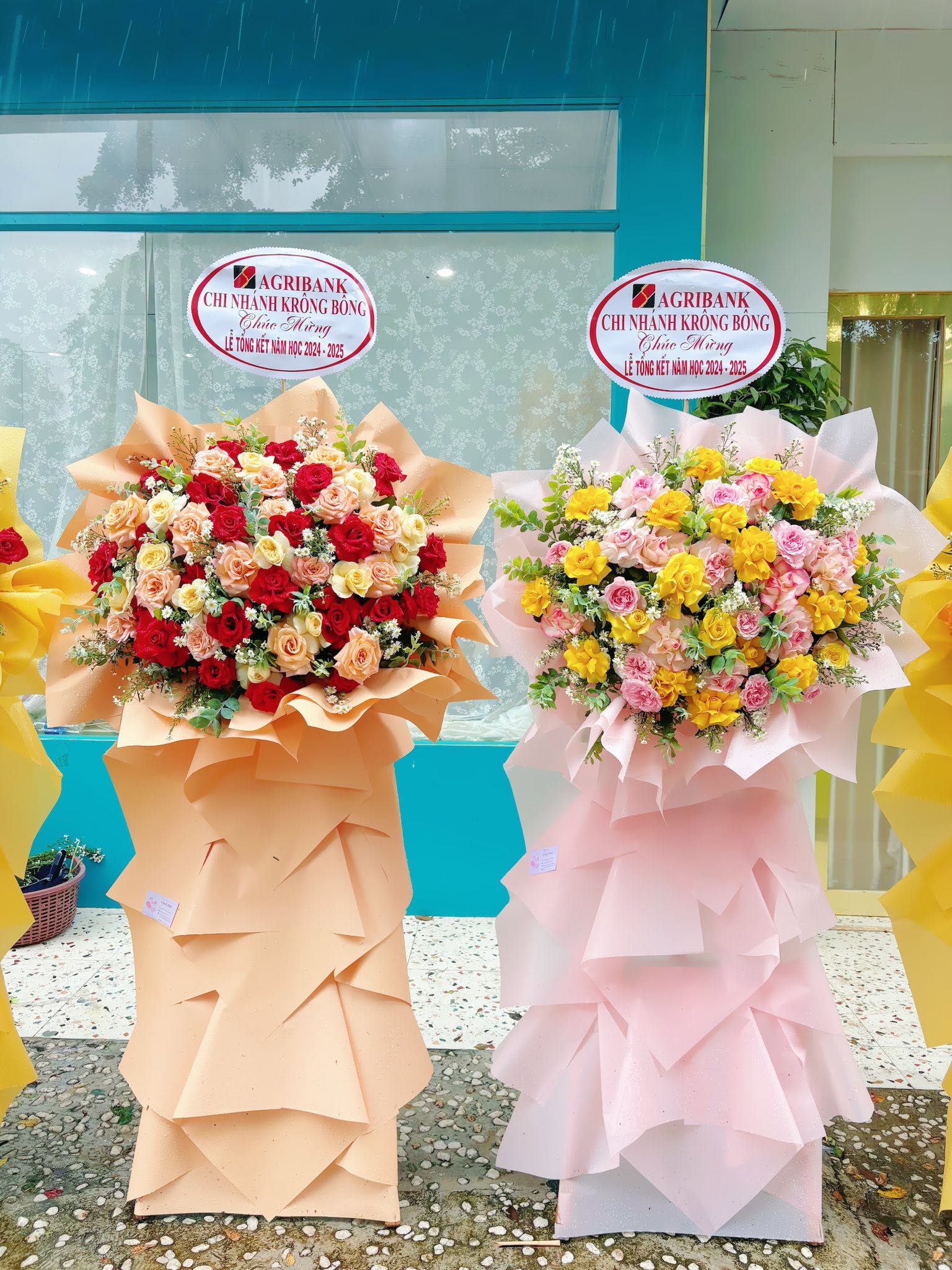 Sản phẩm dathoatuoivn.com 719