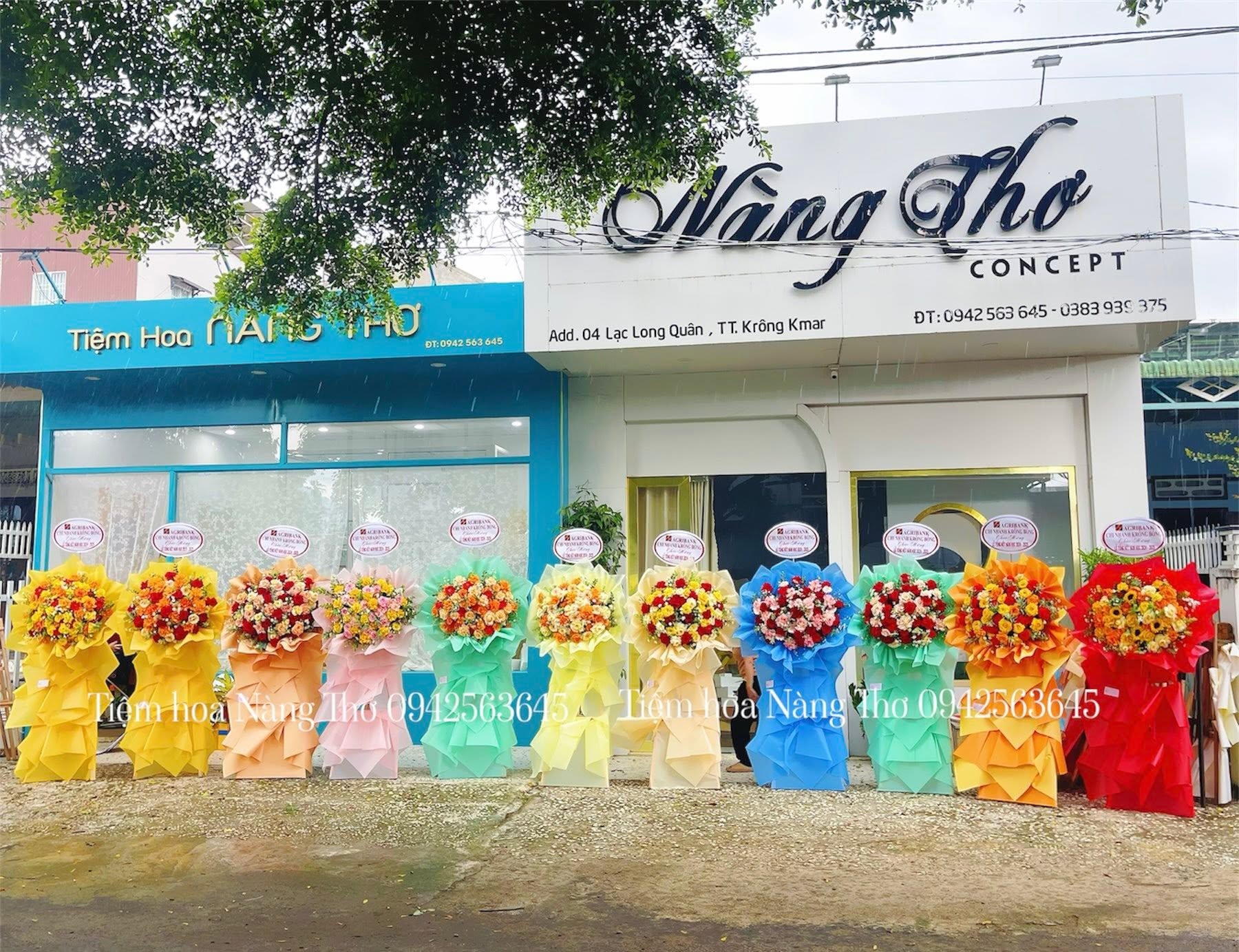 Sản phẩm dathoatuoivn.com 727