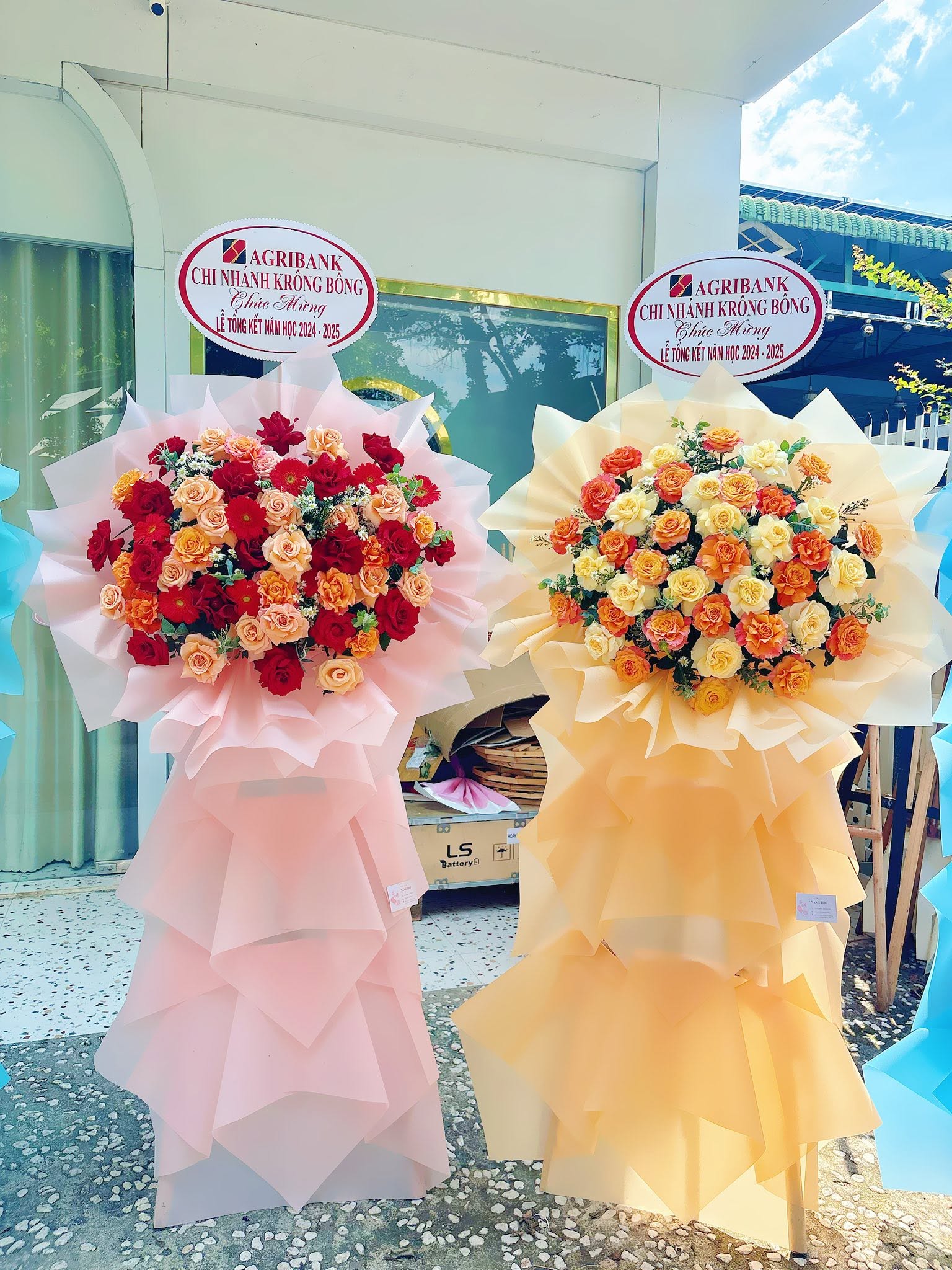 Sản phẩm dathoatuoivn.com 729