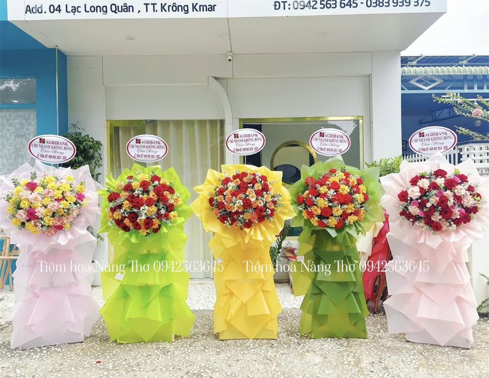 Sản phẩm dathoatuoivn.com 731