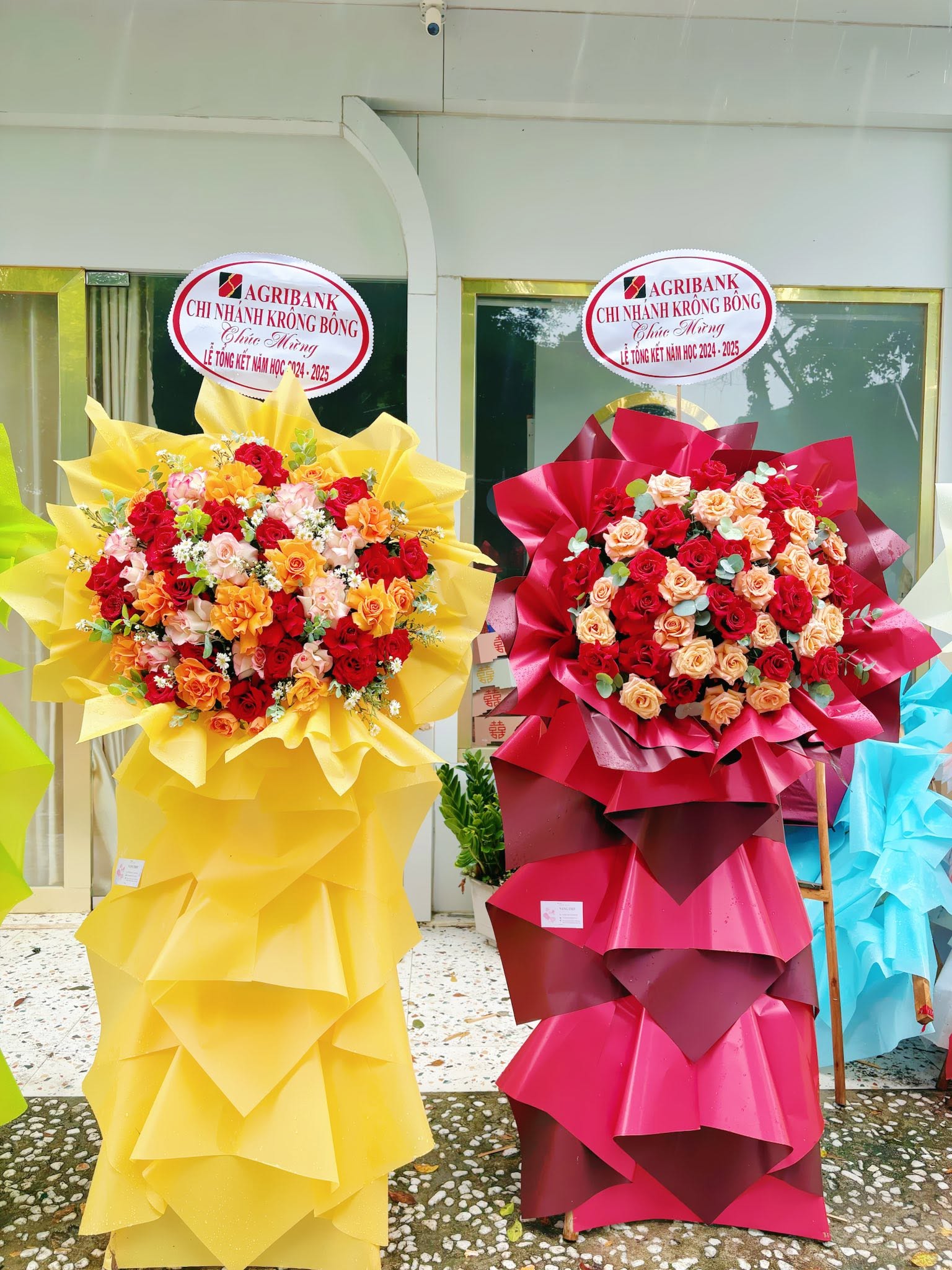 Sản phẩm dathoatuoivn.com 735