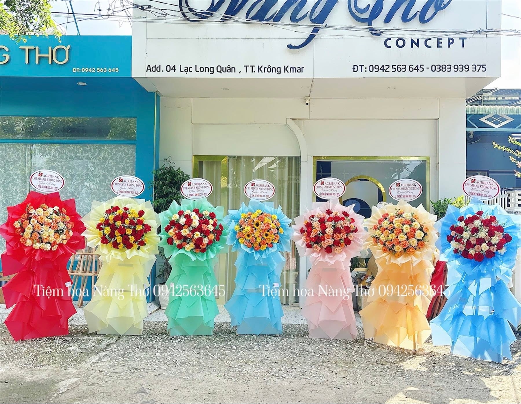Sản phẩm dathoatuoivn.com 736
