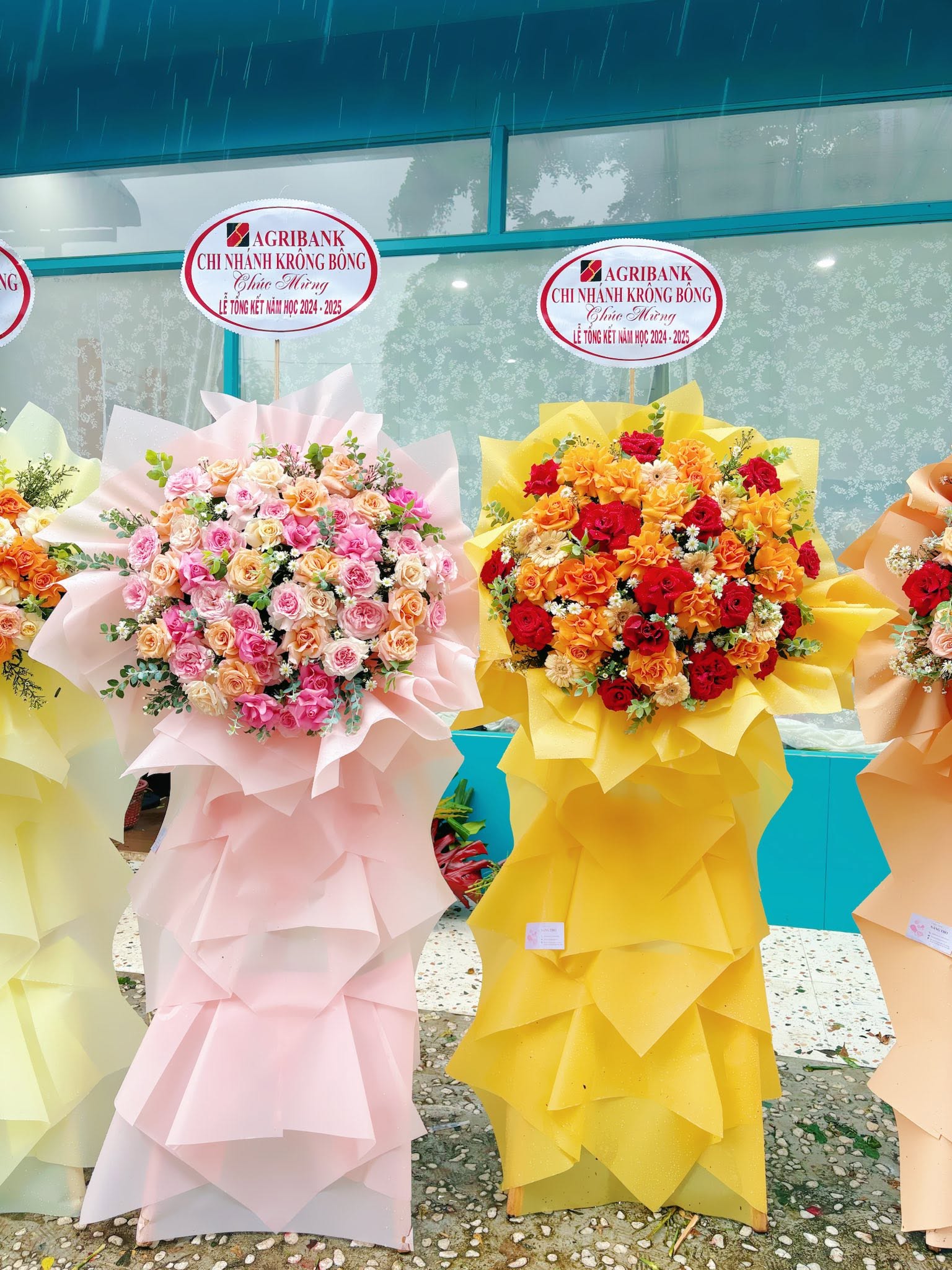 Sản phẩm dathoatuoivn.com 738