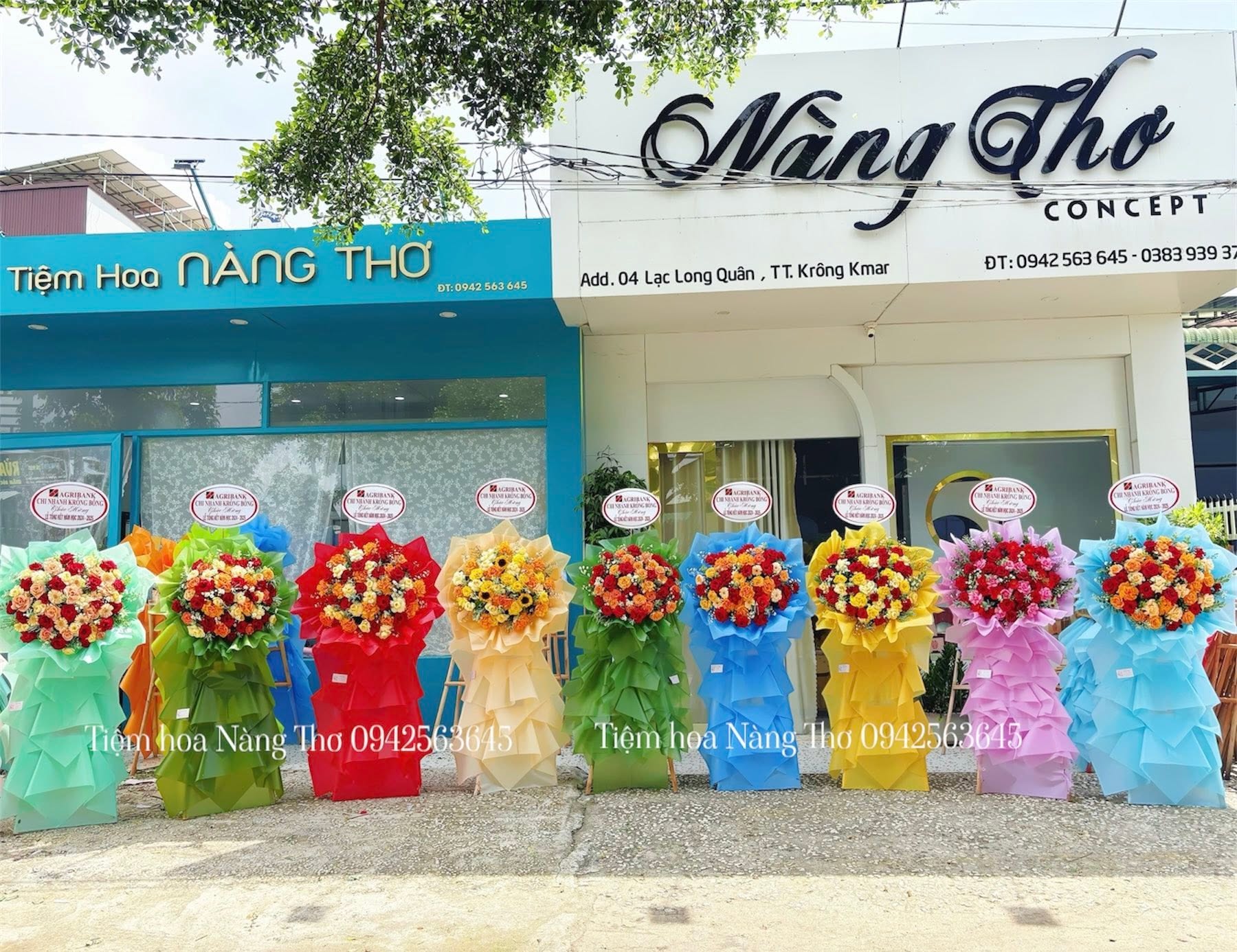 Sản phẩm dathoatuoivn.com 739