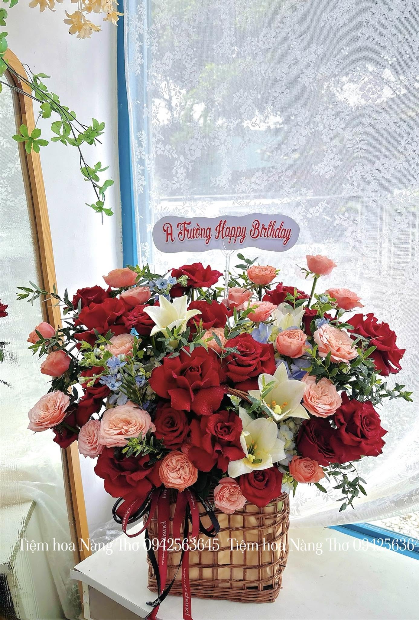 Sản phẩm dathoatuoivn.com 801