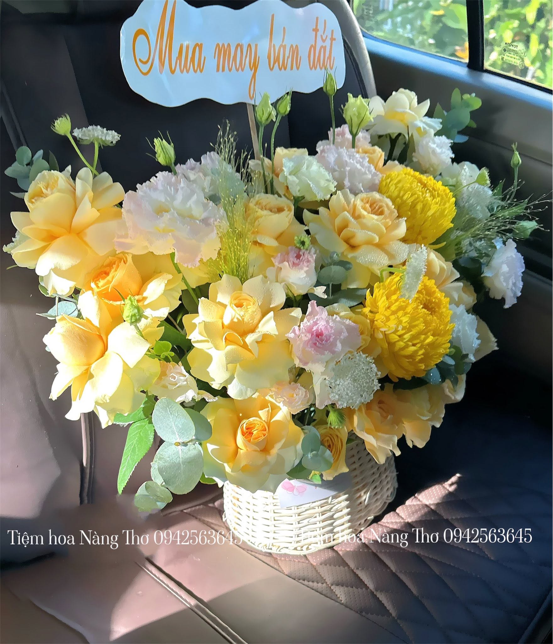 Sản phẩm dathoatuoivn.com 822