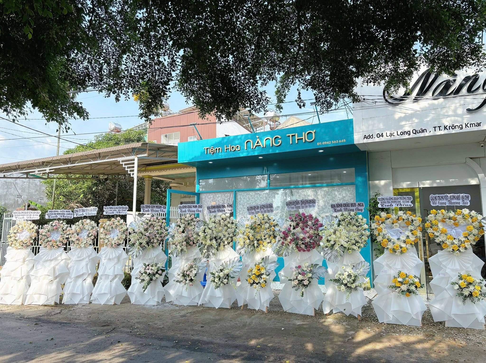 Sản phẩm dathoatuoivn.com 832