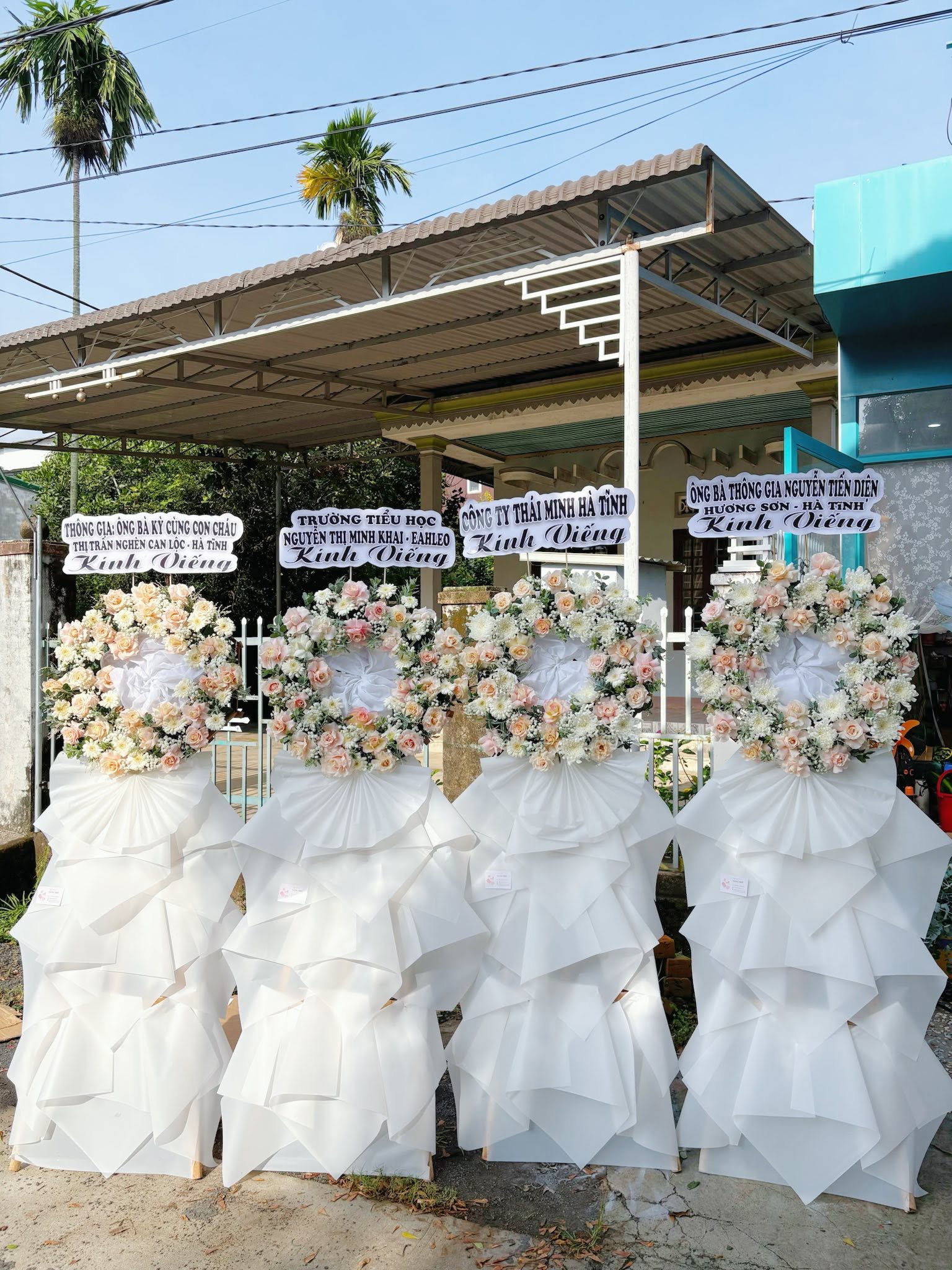 Sản phẩm dathoatuoivn.com 834