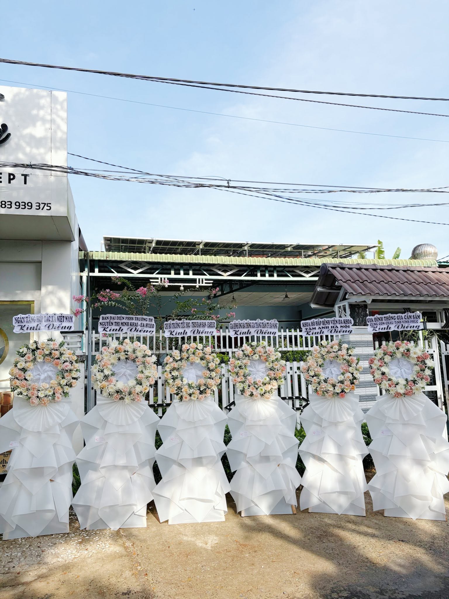 Sản phẩm dathoatuoivn.com 835