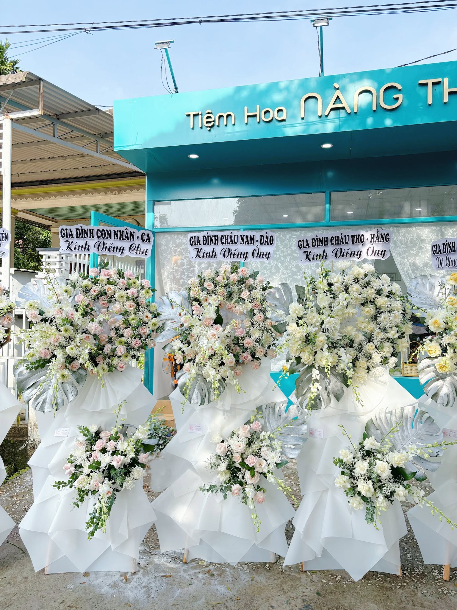 Sản phẩm dathoatuoivn.com 838