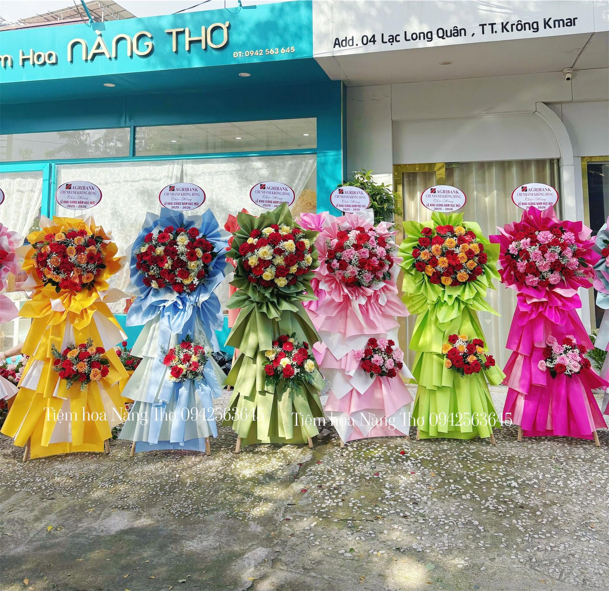 Sản phẩm dathoatuoivn.com 1198