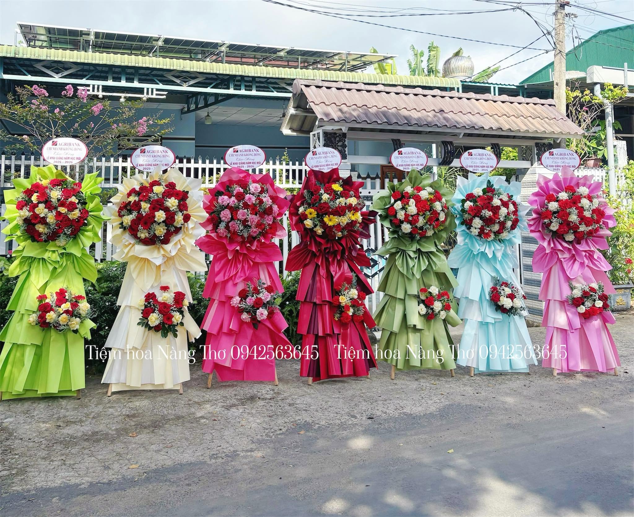 Sản phẩm dathoatuoivn.com 1201