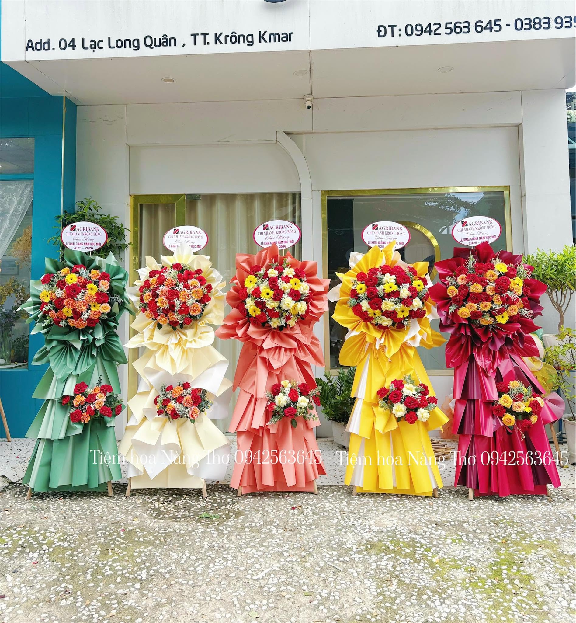 Sản phẩm dathoatuoivn.com 1202