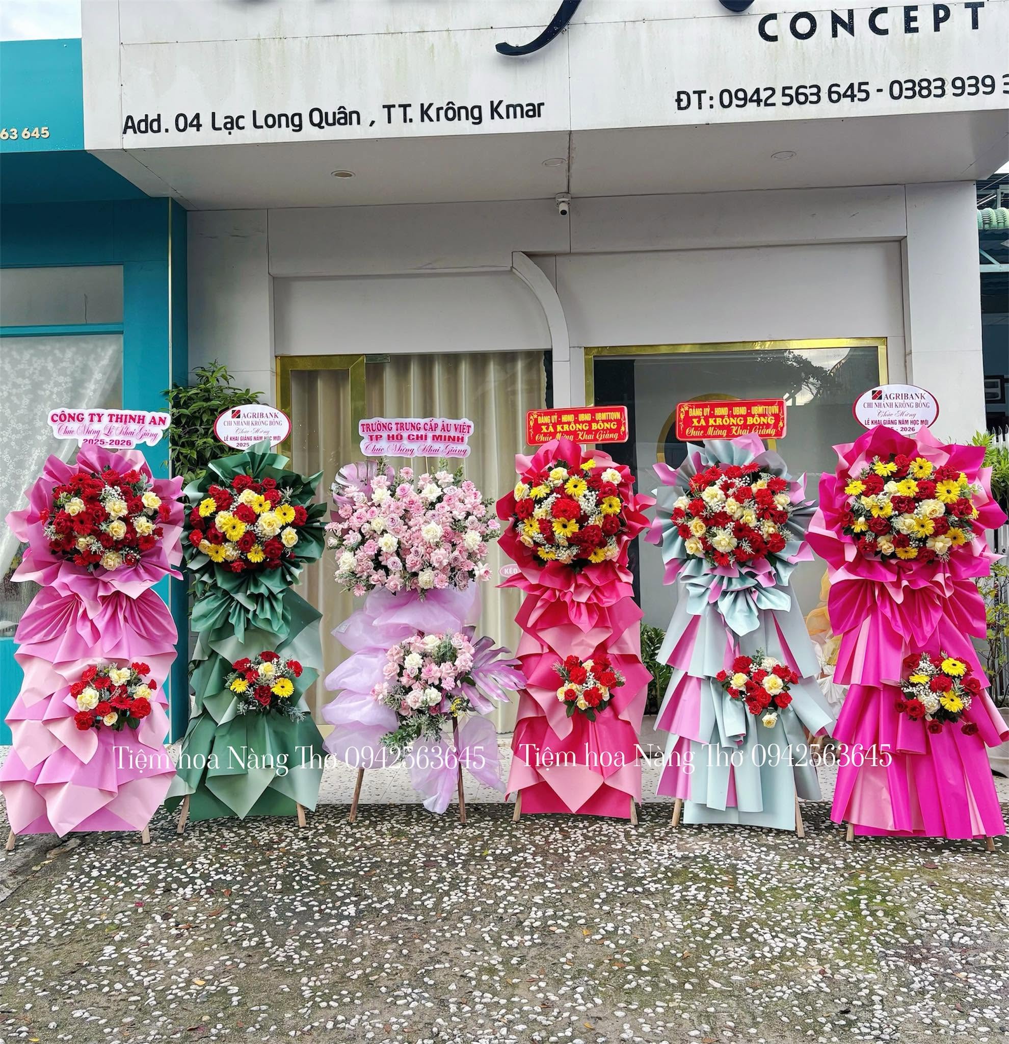 Sản phẩm dathoatuoivn.com 1203