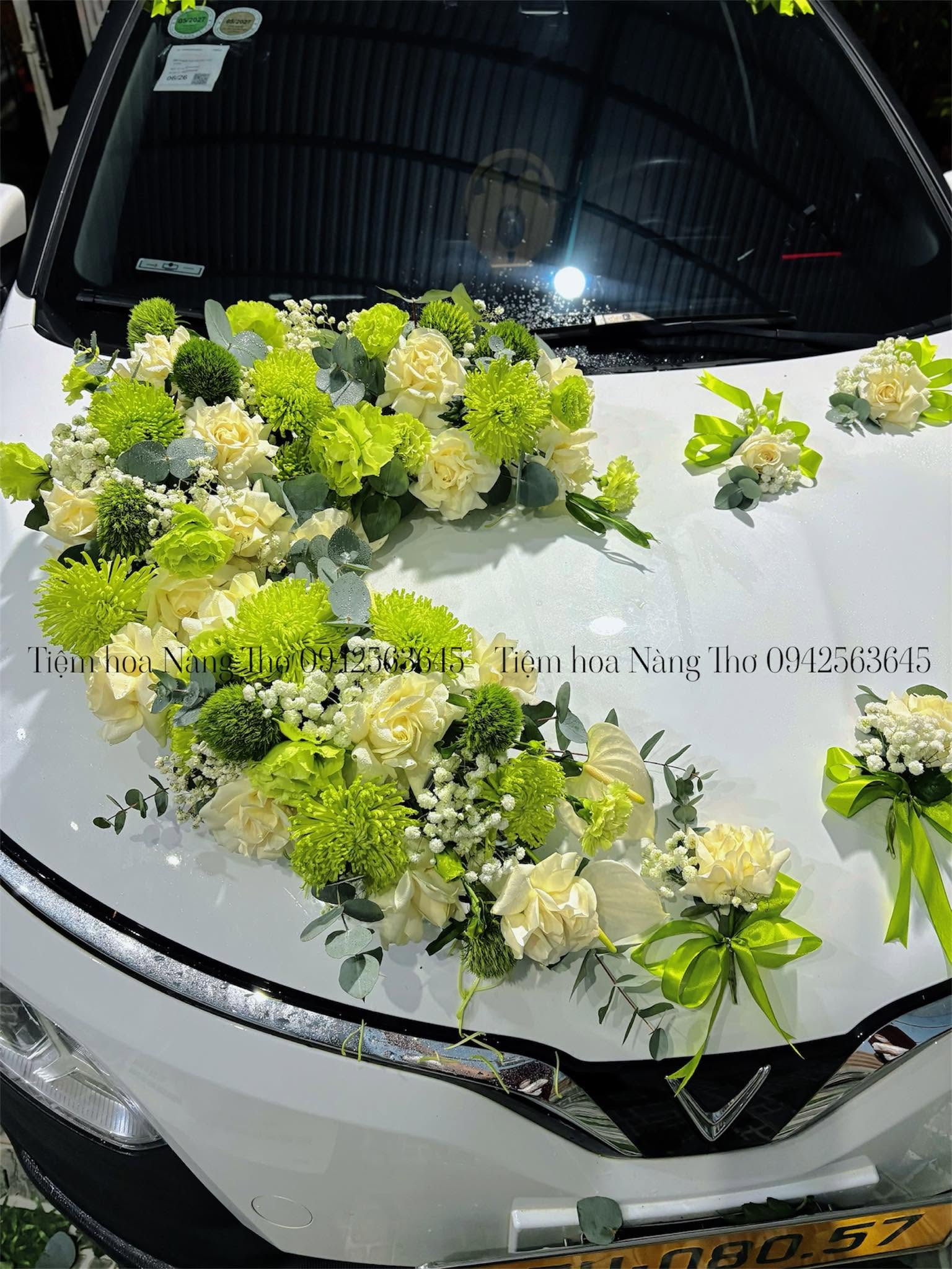 Sản phẩm dathoatuoivn.com 1290