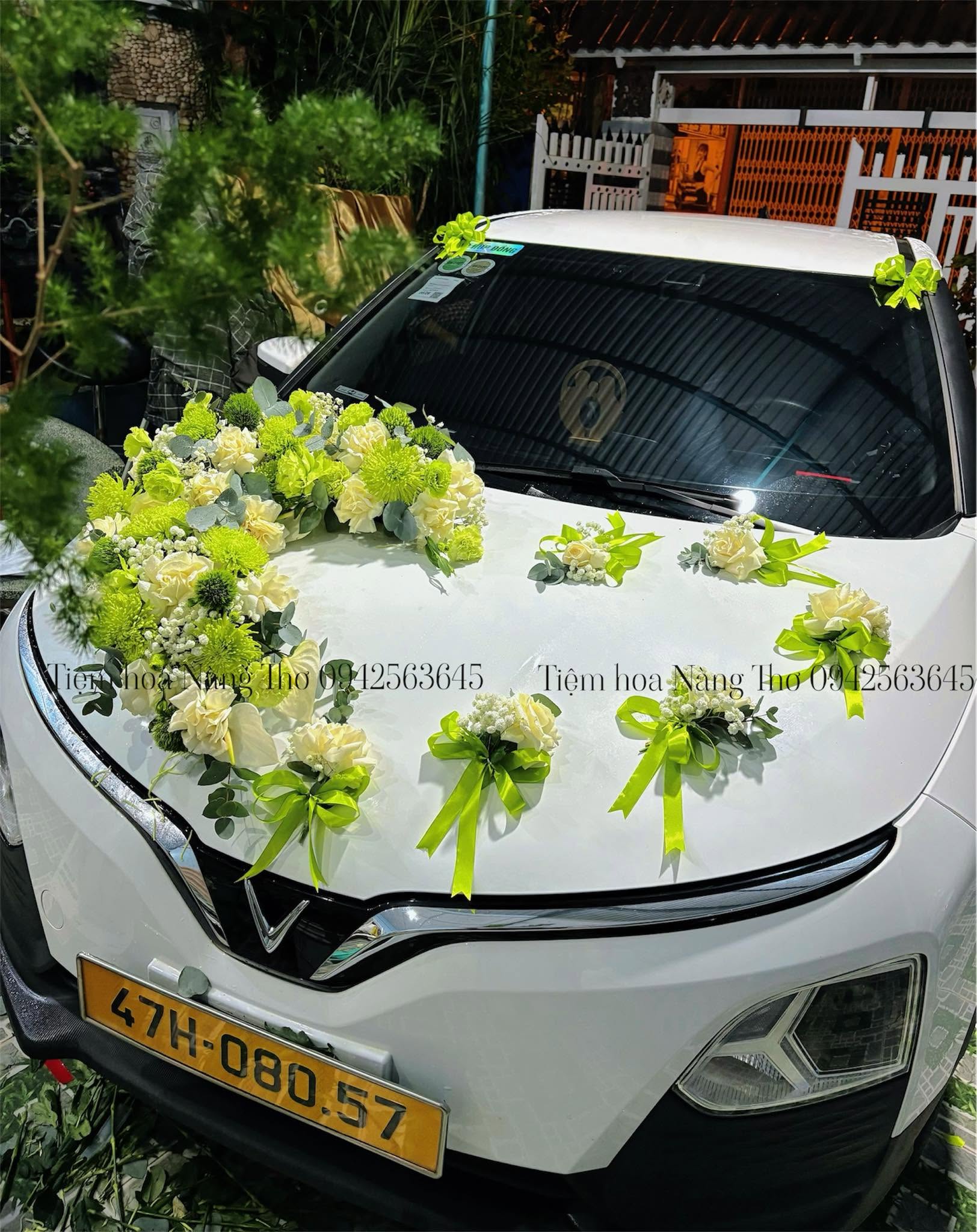 Sản phẩm dathoatuoivn.com 1291