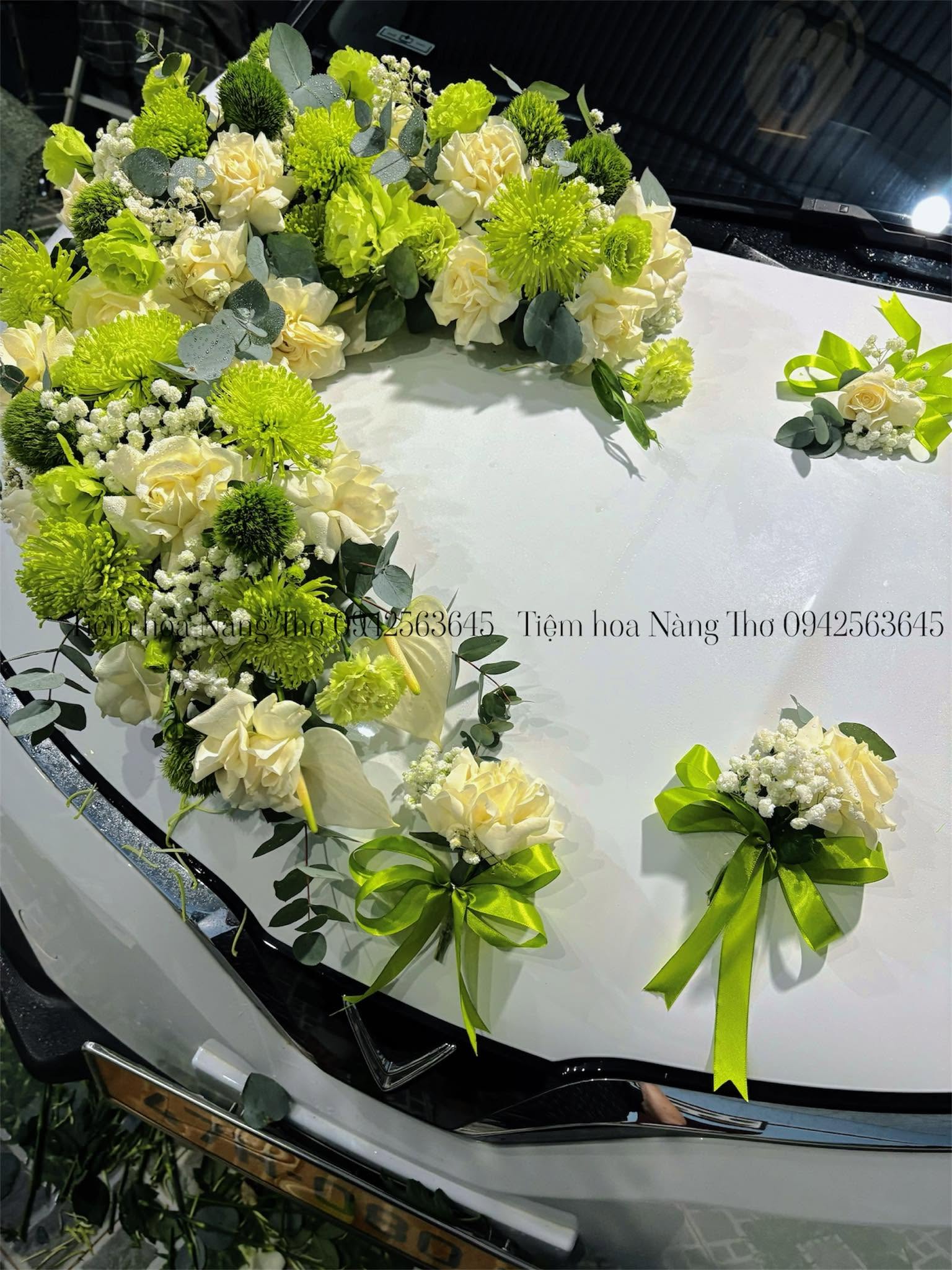 Sản phẩm dathoatuoivn.com 1292