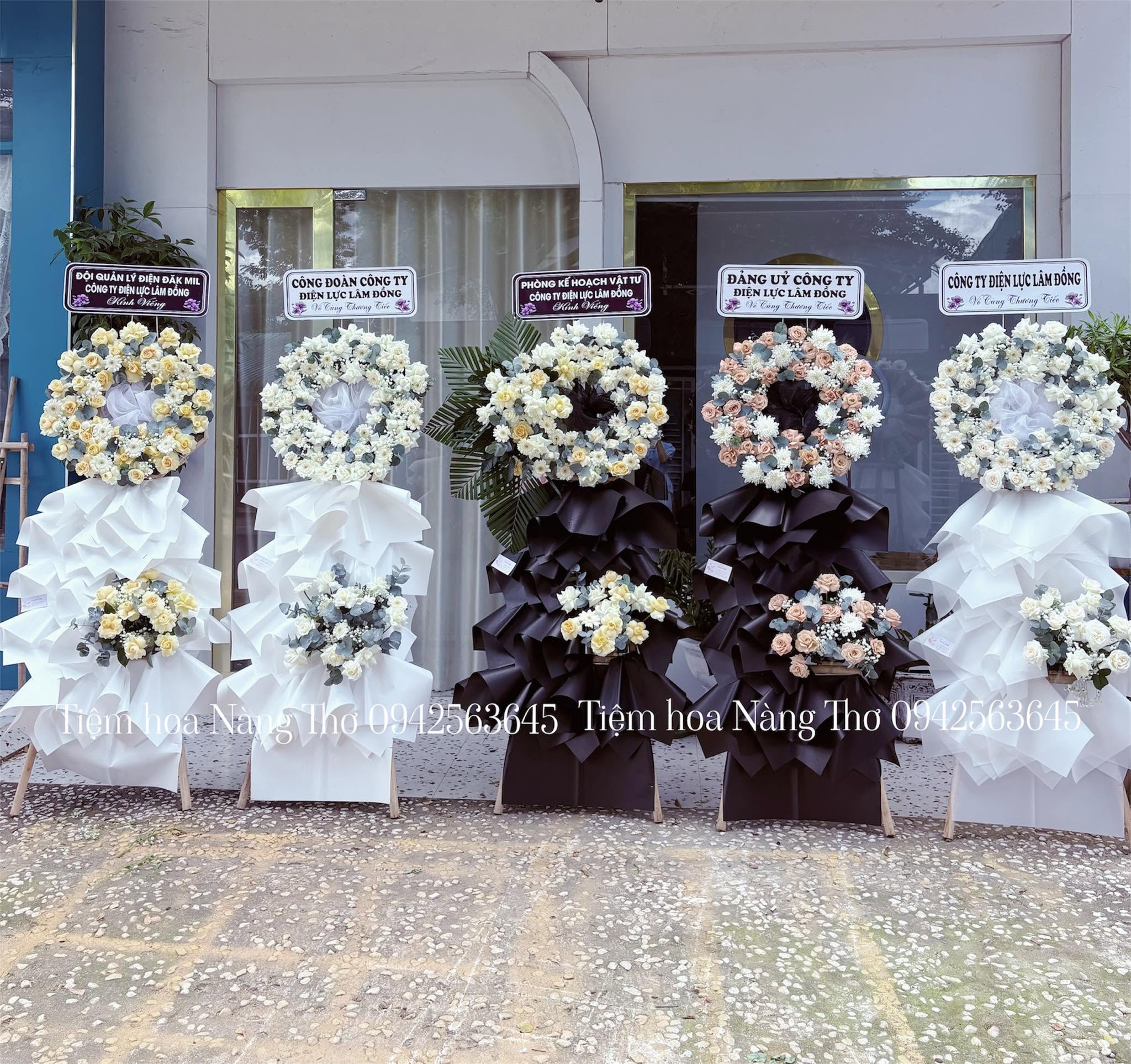 Sản phẩm dathoatuoivn.com 1372