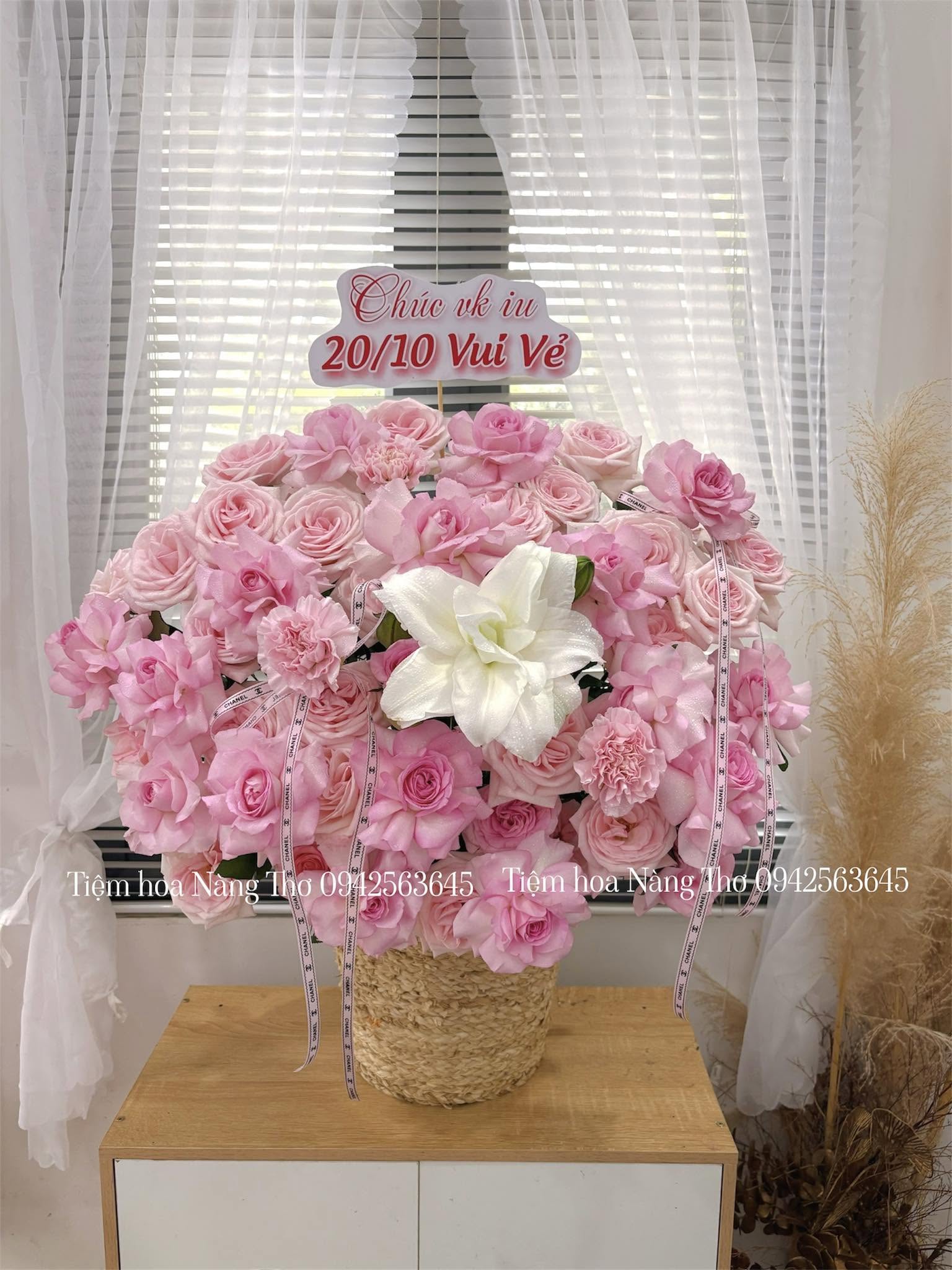 Sản phẩm dathoatuoivn.com 1520