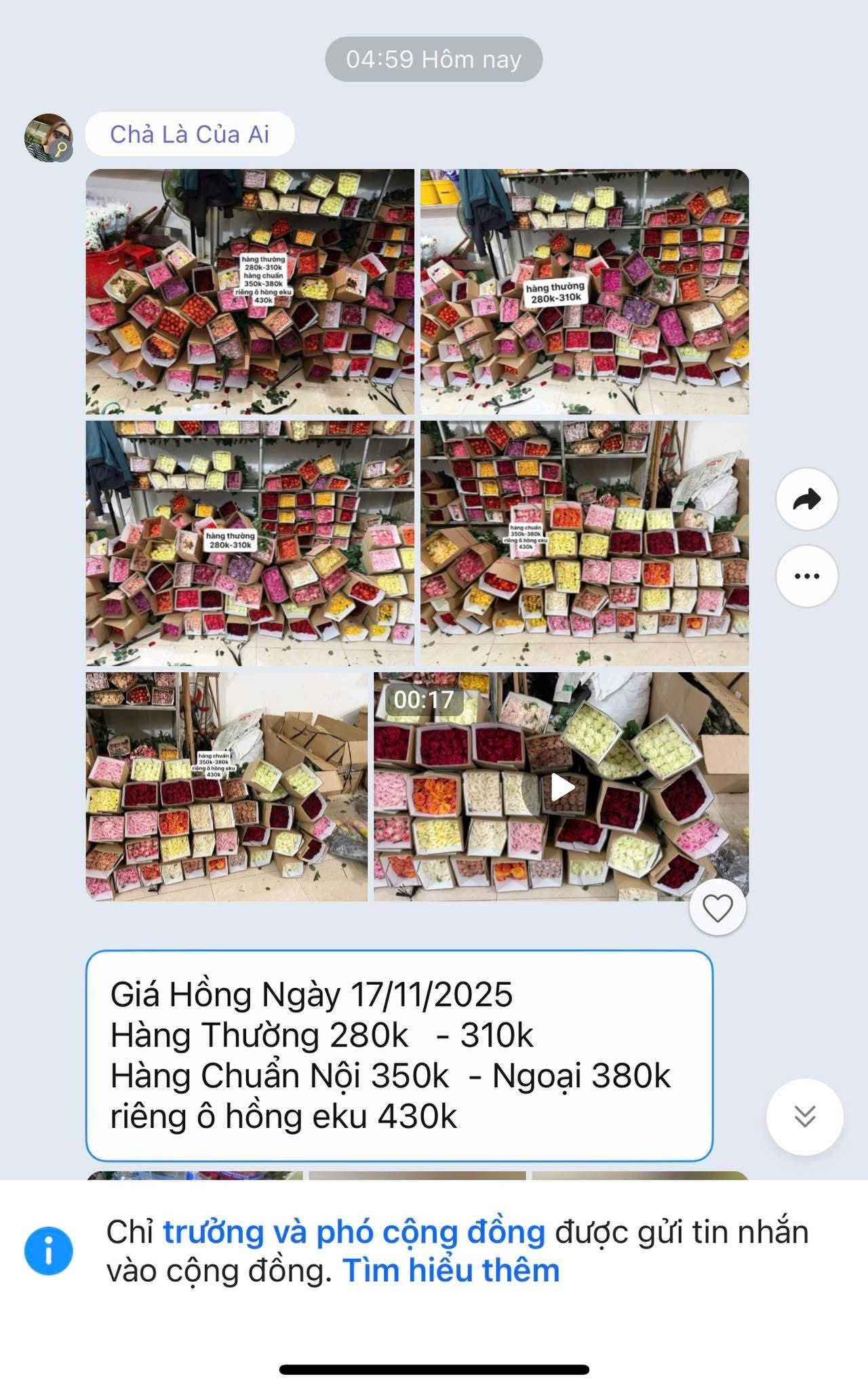 Sản phẩm dathoatuoivn.com 1613
