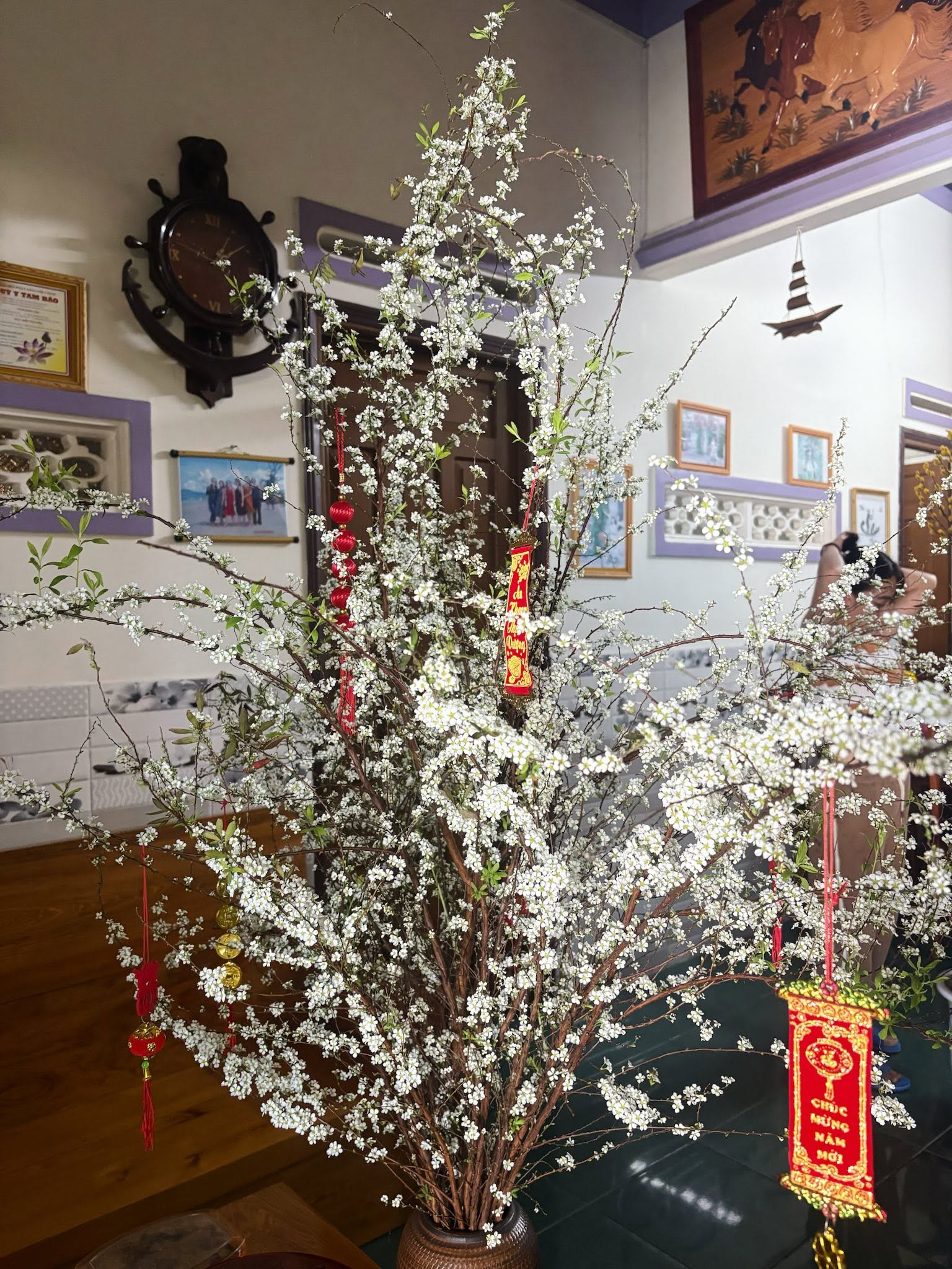 Sản phẩm dathoatuoivn.com 1931
