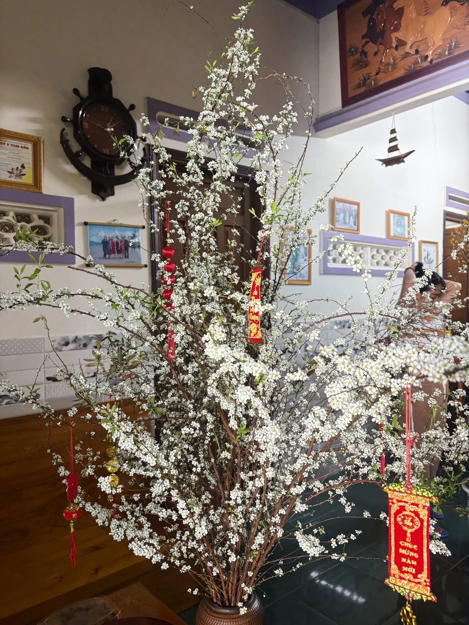 Sản phẩm dathoatuoivn.com 1936