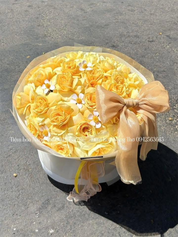 Sản phẩm dathoatuoivn.com 2008