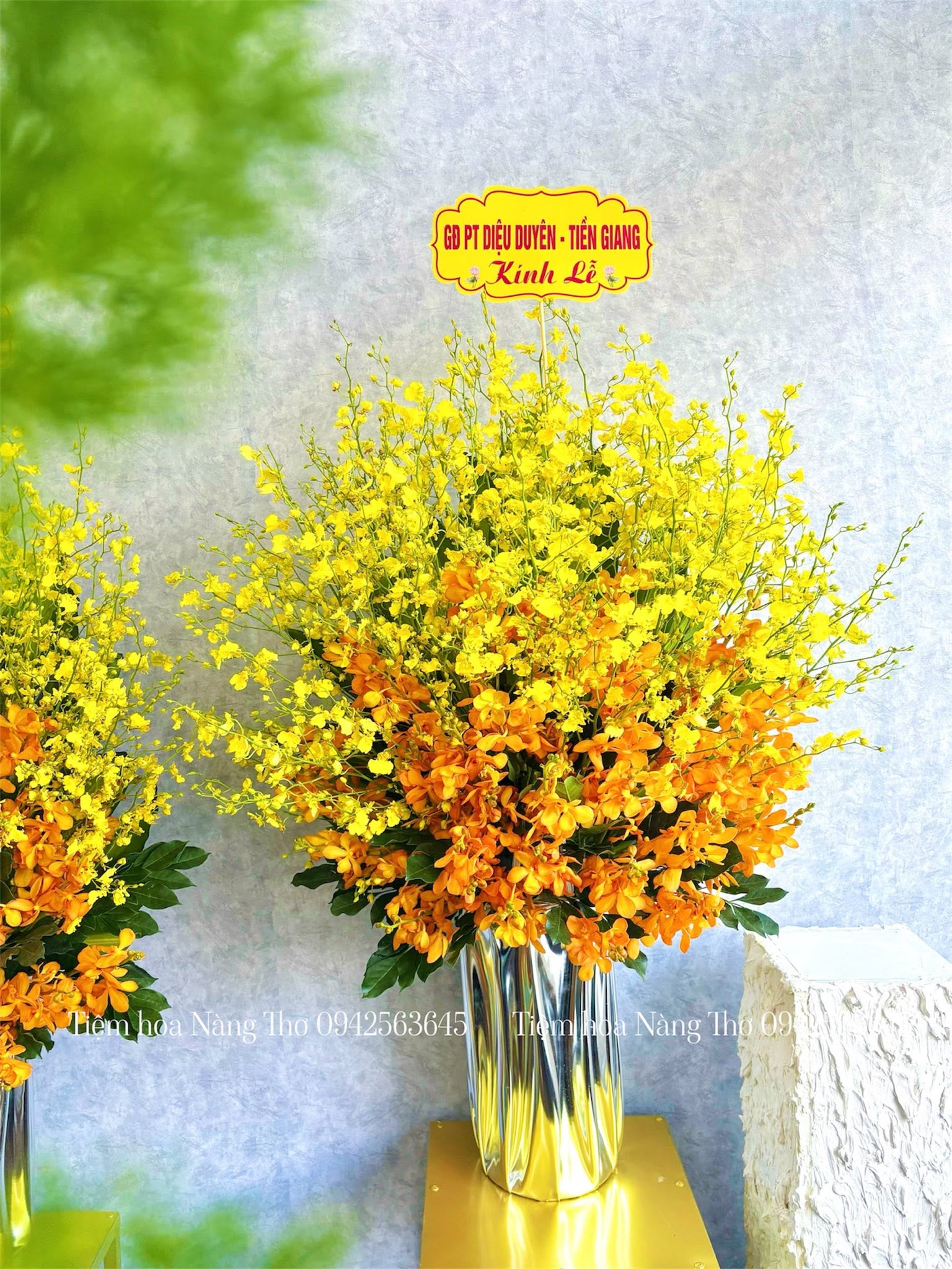 Sản phẩm dathoatuoivn.com 2204