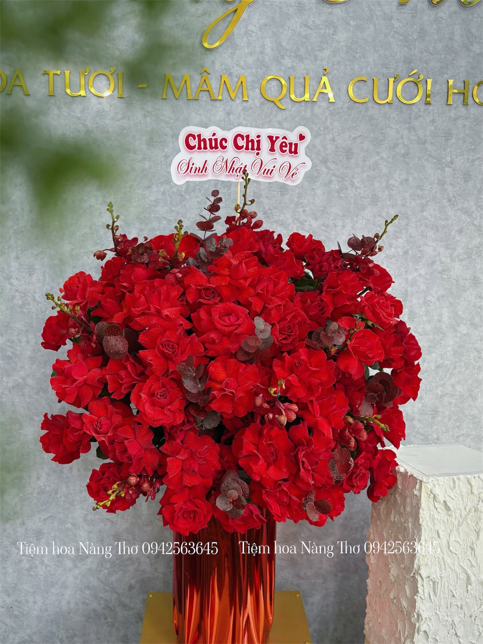 Sản phẩm dathoatuoivn.com 2220